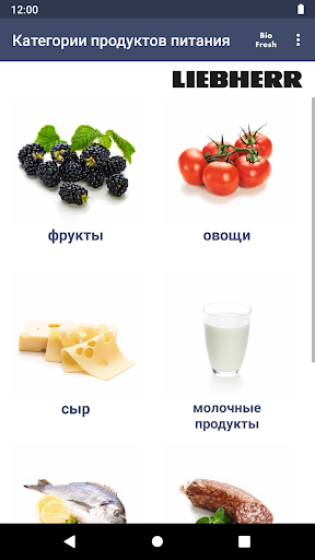 Предварительный просмотр приложения