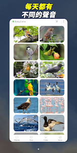 神奇動物：超180種動物和鳥叫聲（像遊戲一樣）