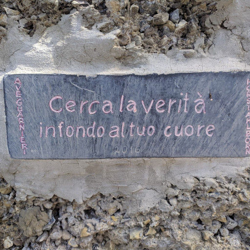 Daniela Castellani logo