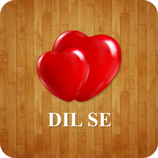 DIL SE logo