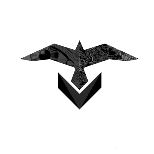 Raven Eye logo