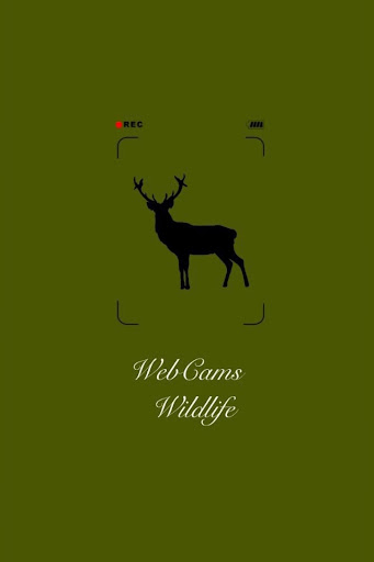 Android application WebCams Wildlife screenshort