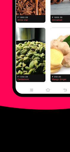 Bijo Spices Screen 2