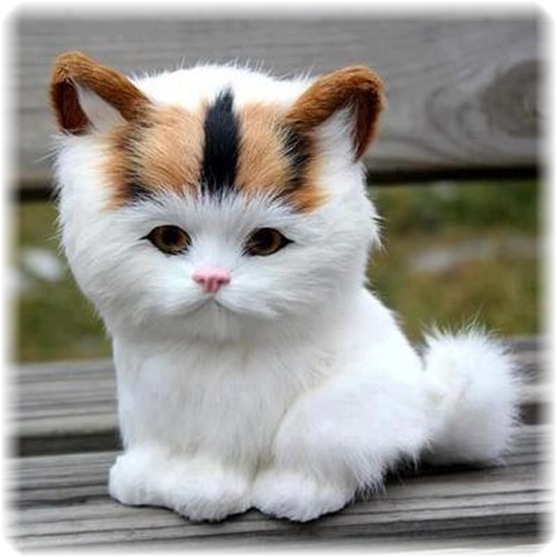 Jigsaw puzzle - cute cats 1.0 Icon