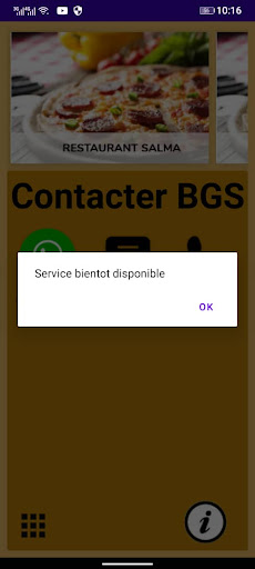 BGS Screen 3