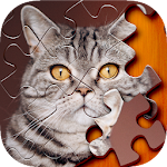 Jigsaw Puzzle Apk