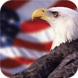 American Eagle. Live wallpaper icon