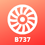 B737 Pilot Trainer - Type Rati