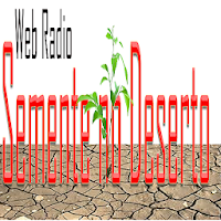 Radio Web Semente no Deserto