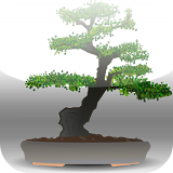 Bonsai Tree Lover icon