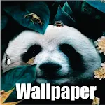 Cover Image of ดาวน์โหลด Wallpaper Aesthetic Panda 1.0 APK