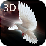 Dove 3D Live Wallpaper icon