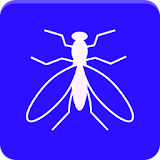 Anti Fly Repellent Sound Prank icon