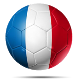 EURO 2016 icon