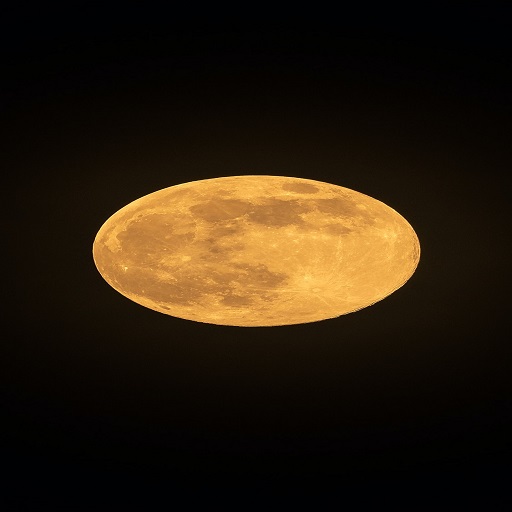 Moon Wallpapers logo