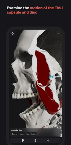 Skull, Teeth & TMJのおすすめ画像4