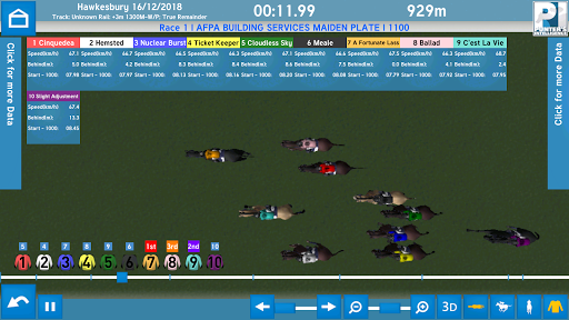 Punters Intelligence Screen 3