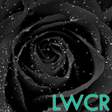 black rose live wallpaper icon