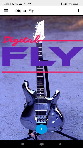 Digital Fly Screen 2