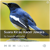 Suara Kicau Kacer Jawara icon