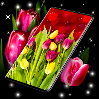 Spring Tulip Live Wallpaper apk