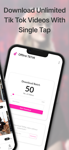 Off-Lane Tik Tok  Downloader