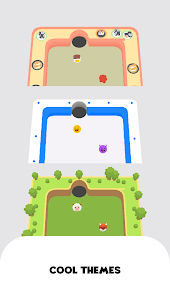 Pool Ball Puzzle