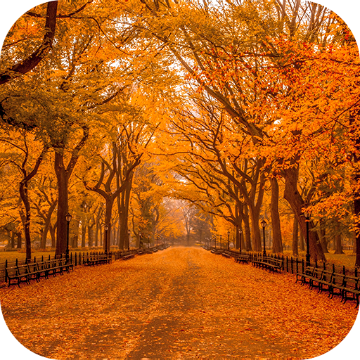 Autumn Wallpaper 2023 logo