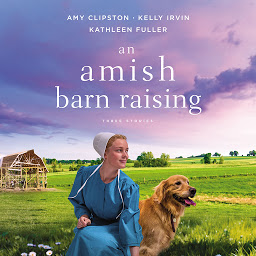 Icon image An Amish Barn Raising: Three Stories