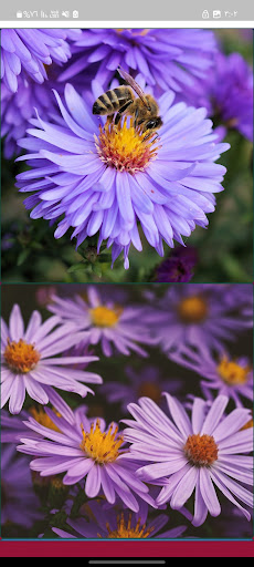 Purple Backgrounds Screen 2