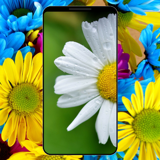 Flower Wallpapers - HD & 4K Download on Windows