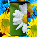 Cover Image of Скачать Flower Wallpapers - HD & 4K  APK