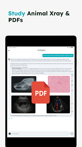 Veterinary AIPet Animal Study