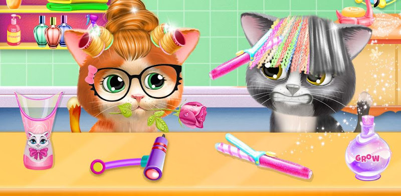 Pet Kitty Hair Salon
