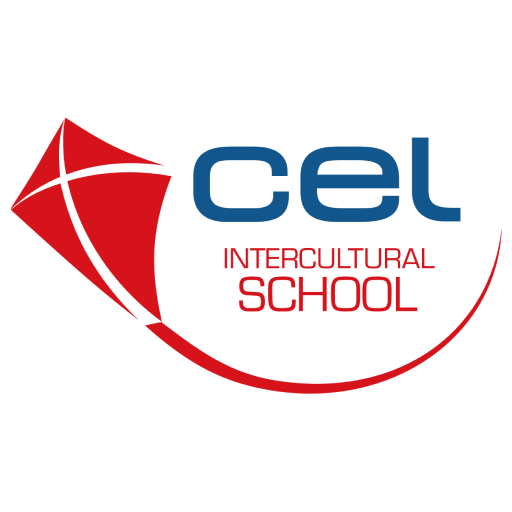 CEL/INFOTEC - DuplaLR logo