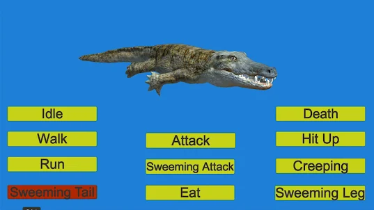 Crocodile Alligator Animations