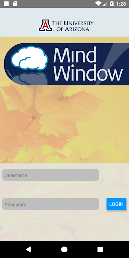 Anteprima dell'app