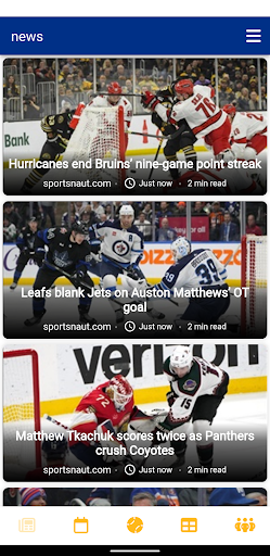 Buffalo Hockey - Sabres Ed.