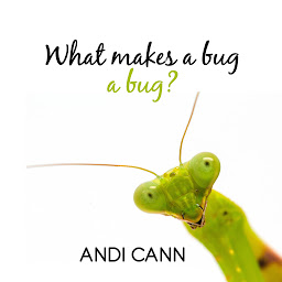 Obraz ikony: What Makes a Bug a Bug?