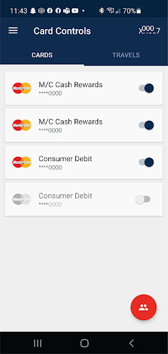 Sno Falls Credit Union Screen 2