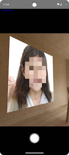 Mosaic Camera Screen 2