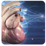 Cardiology 3D Small Animals icon
