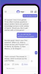 Q&A Fast AI Chatbot Help