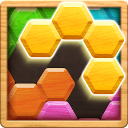 Icon image Wood Block Puzzle - Hexa