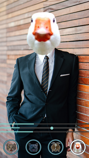 Animal talk realtime translate