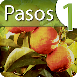 Pasos 1: Learn Spanish Lab icon