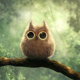 Pretty owls Wallpaper icon