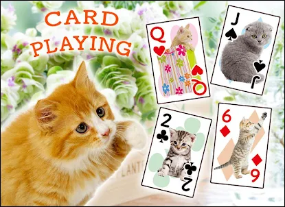 Cats Playing Card Games