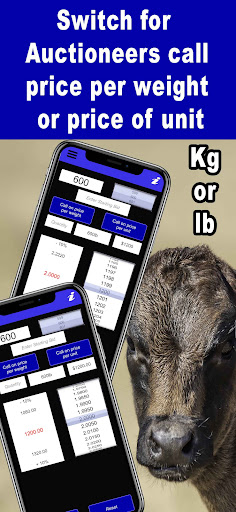 Livestock Auction Calculator Screen 2