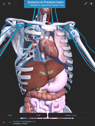 Screenshot of Visual Anatomy 3D - Human body